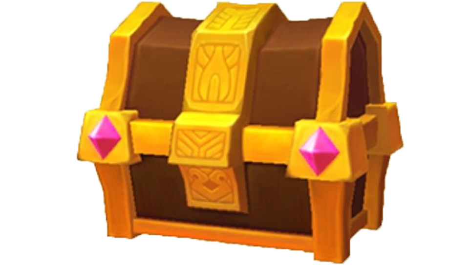 chest