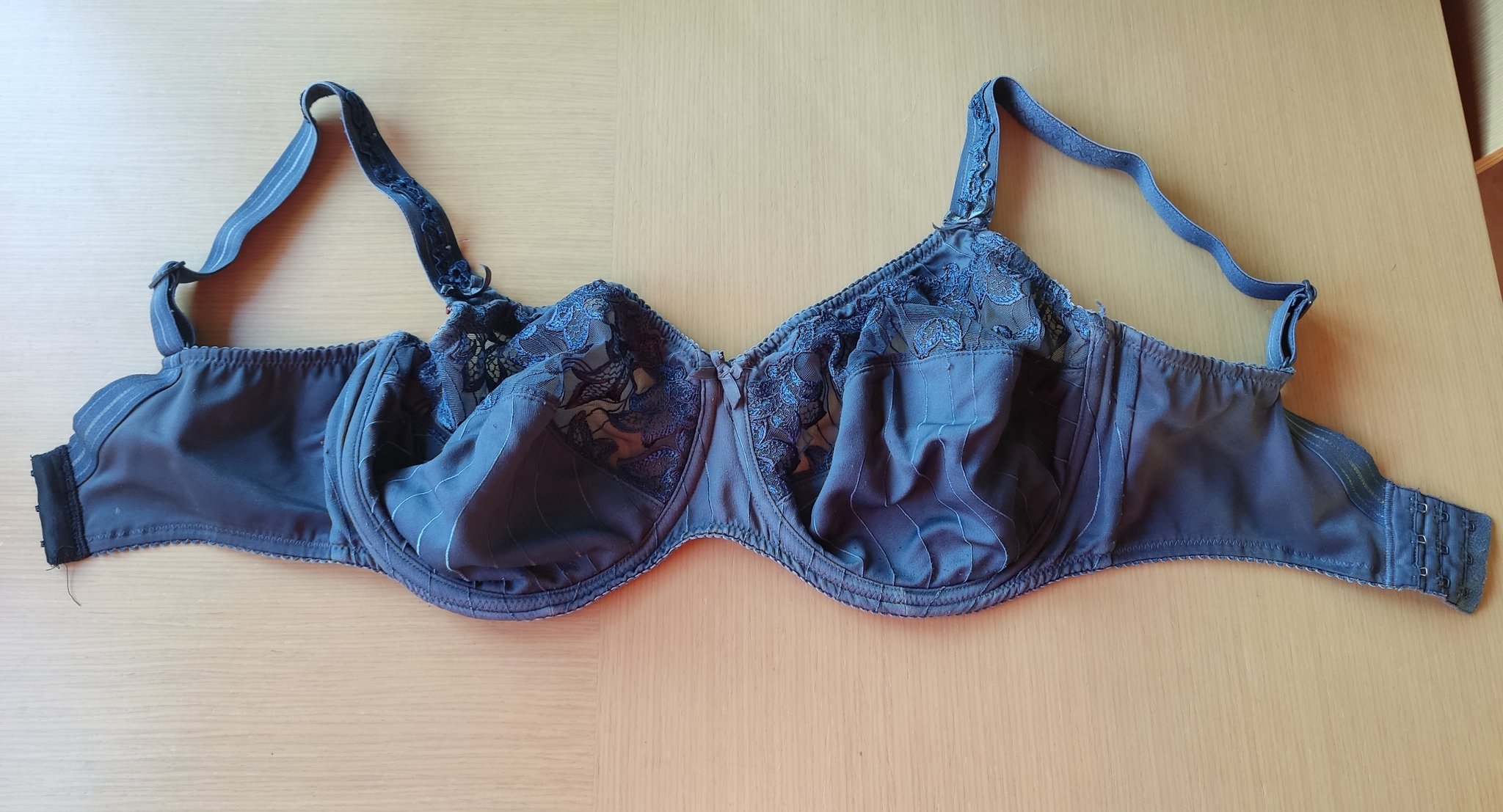 El sujetatetas de Eva. Todo el dinero de la subasta irá integramente a Eva.