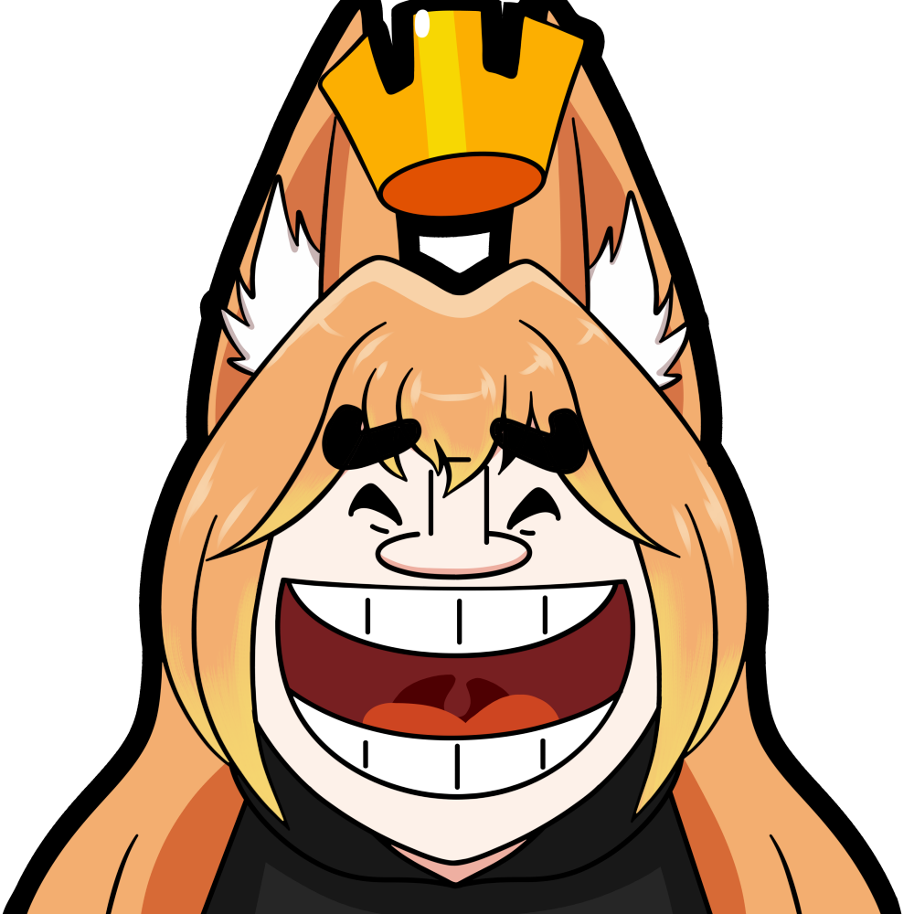 Coleccion Zapatillas