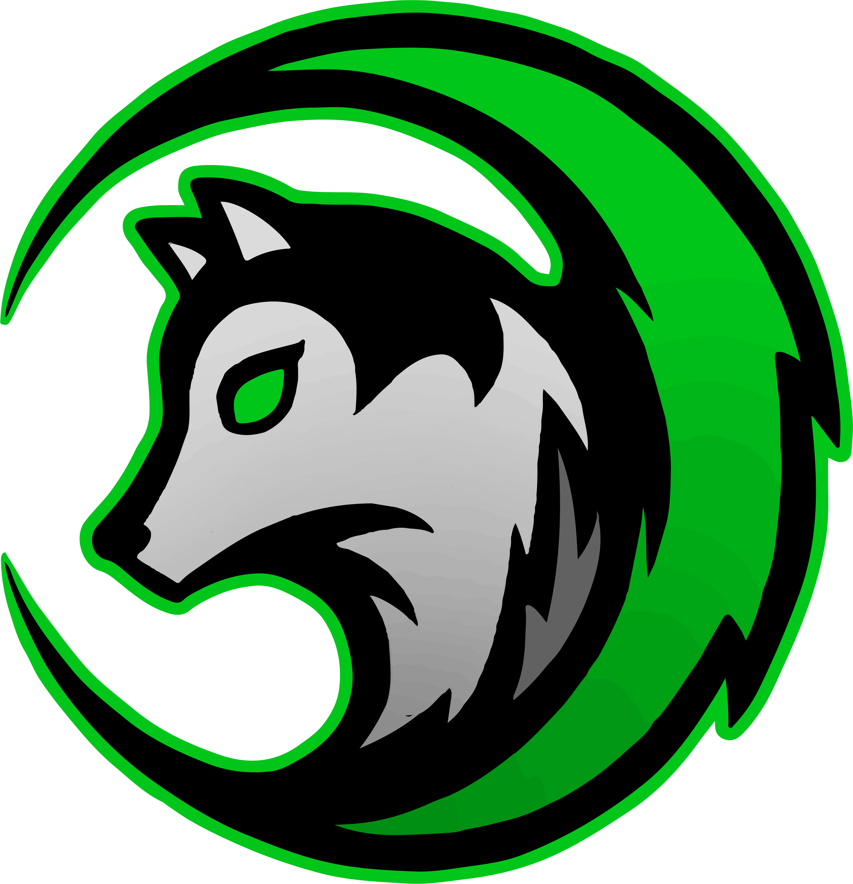 Asananica81's collection