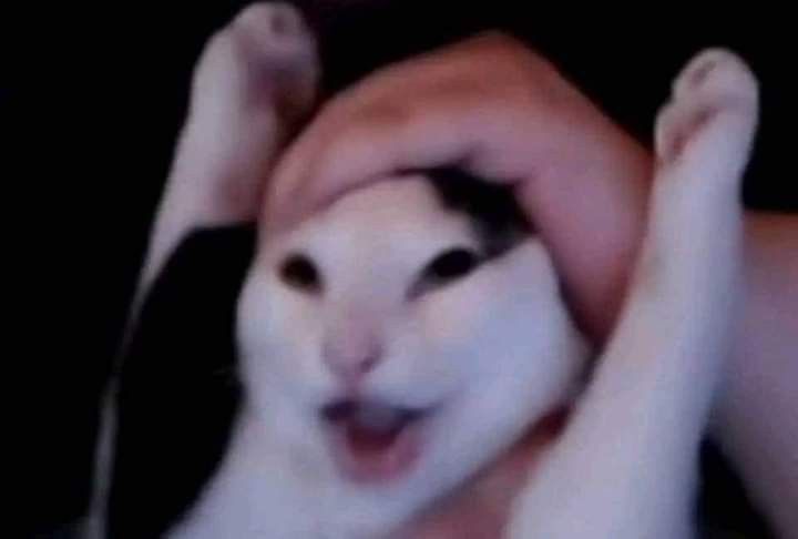 ❤︎¡Extensible!❤︎