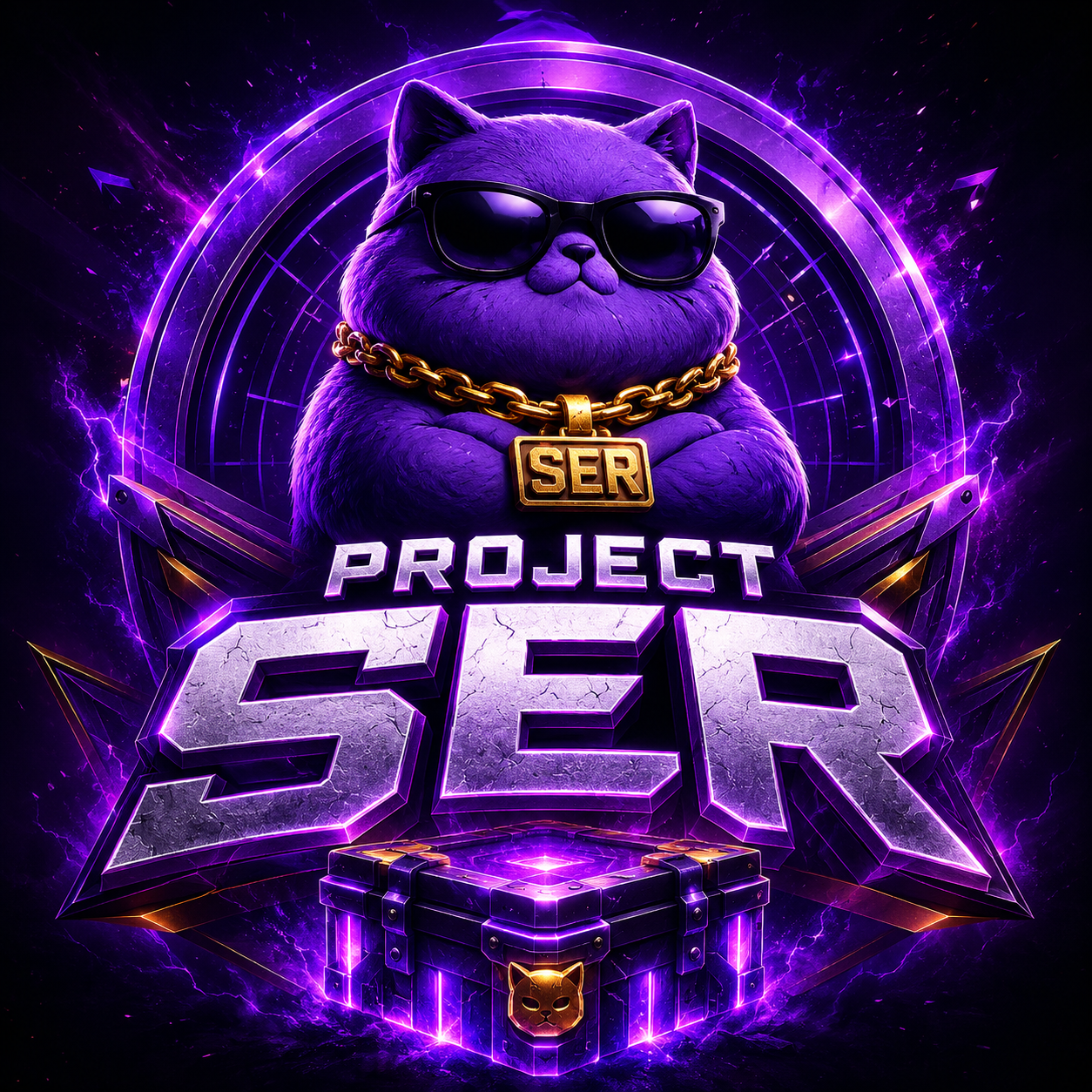 PROJECT SER